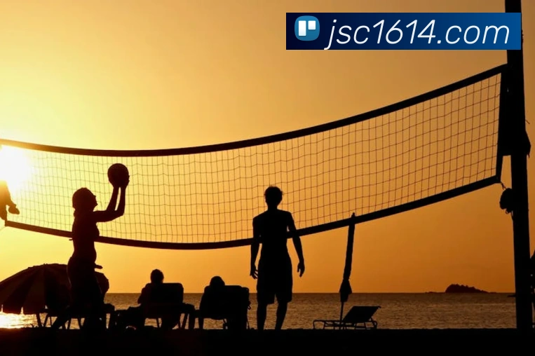 金沙娱乐官网平台生态图